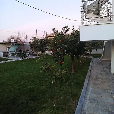 Willa Evans Kokkónion