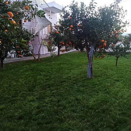 Evans Villa Kokkonion