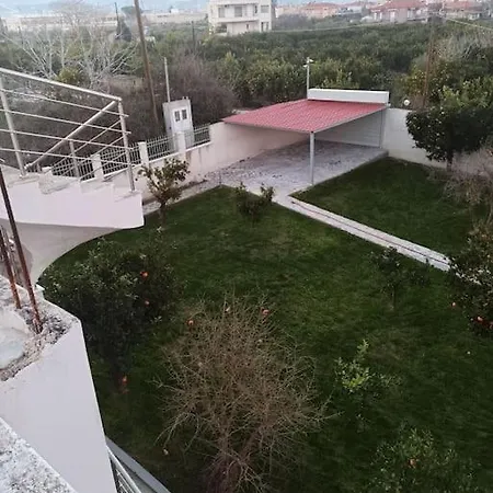 Evans Willa Kokkónion