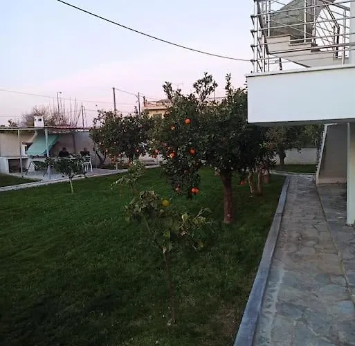 Βίλα Evans Κοκκώνι