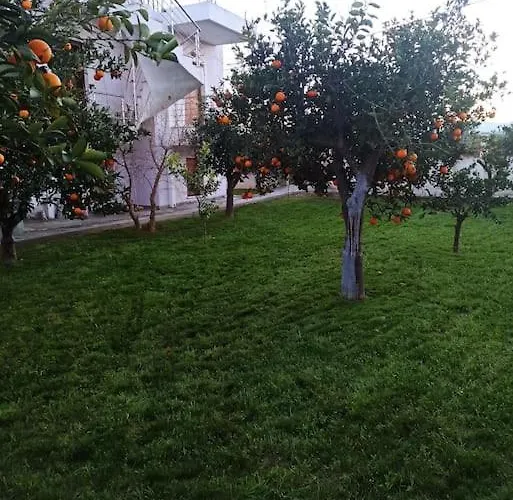 Evans Βίλα Κοκκώνι