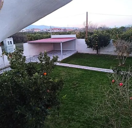 Evans * Κοκκώνι